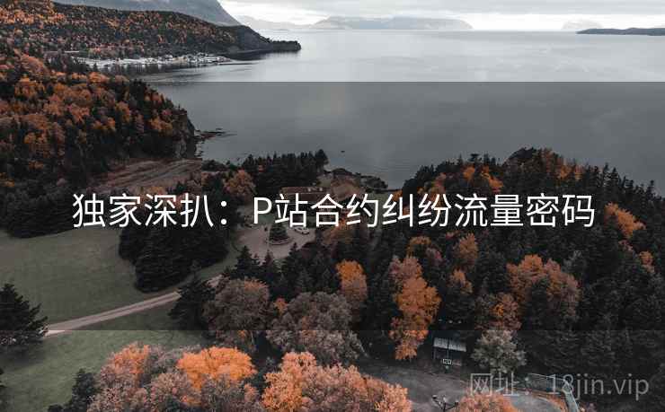 独家深扒：P站合约纠纷流量密码