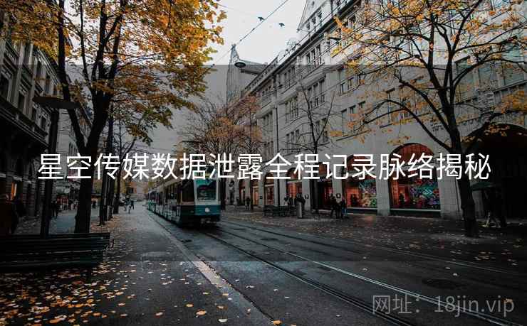 星空传媒数据泄露全程记录脉络揭秘