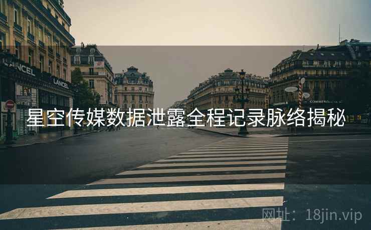 星空传媒数据泄露全程记录脉络揭秘