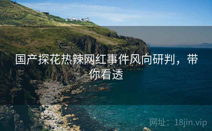 国产探花热辣网红事件风向研判，带你看透