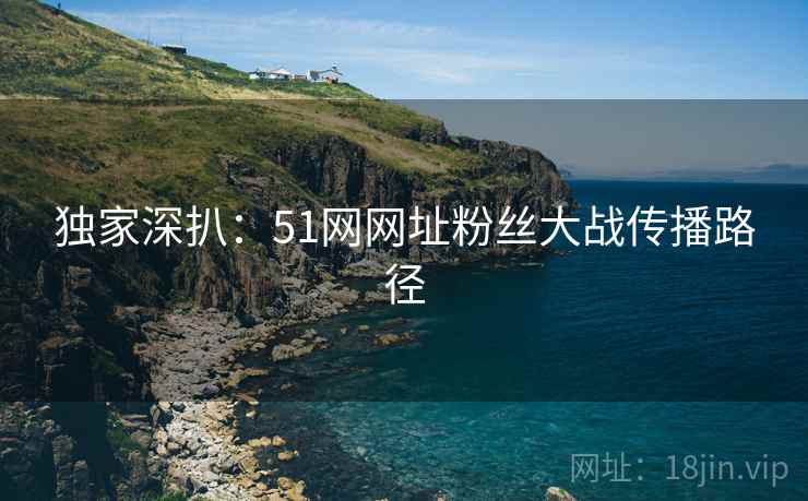 独家深扒：51网网址粉丝大战传播路径