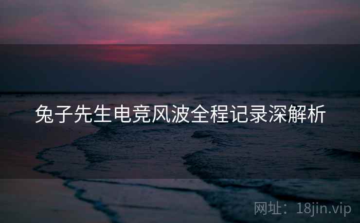 兔子先生电竞风波全程记录深解析