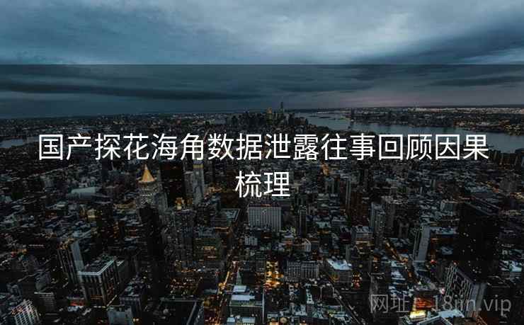 国产探花海角数据泄露往事回顾因果梳理