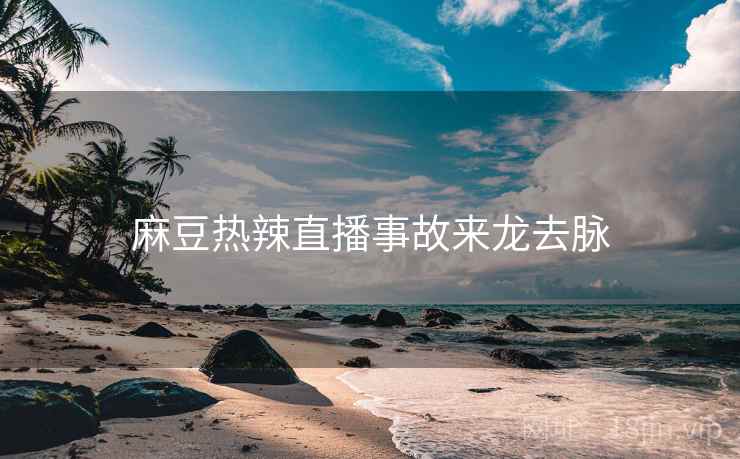 麻豆热辣直播事故来龙去脉
