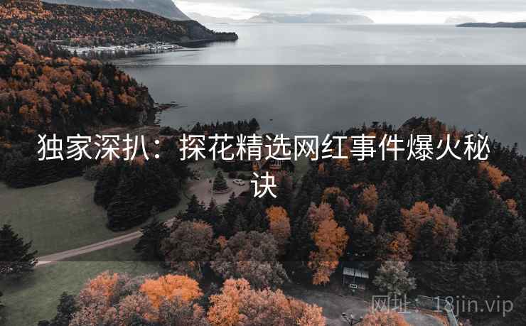 独家深扒：探花精选网红事件爆火秘诀