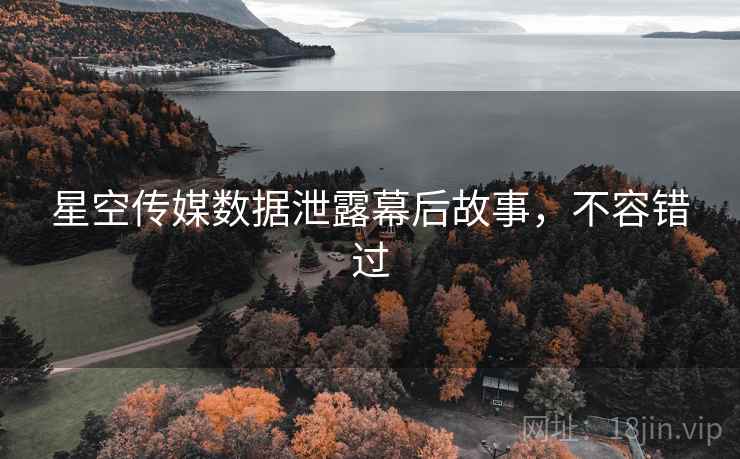 星空传媒数据泄露幕后故事，不容错过