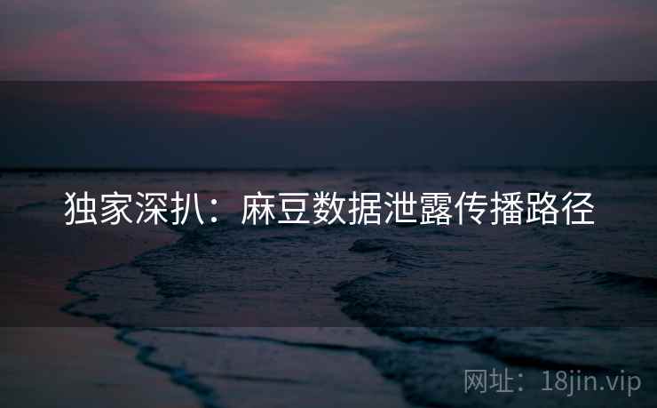 独家深扒：麻豆数据泄露传播路径