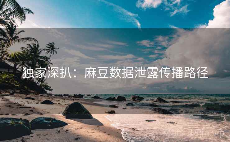 独家深扒：麻豆数据泄露传播路径