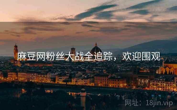 麻豆网粉丝大战全追踪，欢迎围观